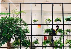 -P.STYLE派斯造型