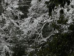 -龙苍沟森林公园