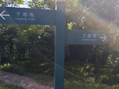 -九华山公园