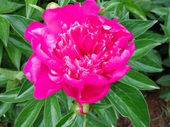 -合肥三国新城遗址公园