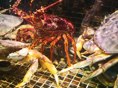 -海鲜e族(马王堆店)