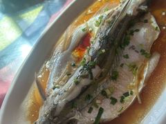 清蒸白水鱼-妈妈的小作坊(陈家镇店)