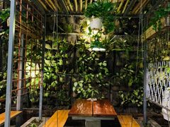-Rainforest