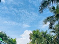 -深圳仙湖植物园