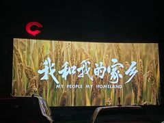 -枫花园汽车电影院(朝阳公园店)