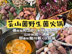 -西双版纳原始森林公园