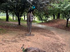 -宁波杭州湾国家湿地公园