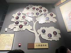-辽宁古生物博物馆