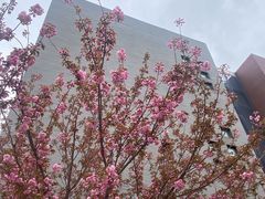 -河南财经政法大学(郑东校区)
