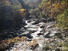 -青峰峡国家森林公园