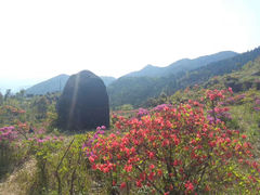 -玉苍山国家森林公园