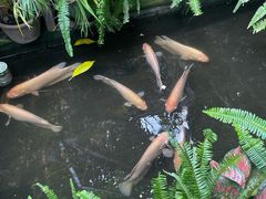 -Cuc Gach Quan Restaurant