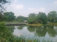 -西溪国家湿地公园