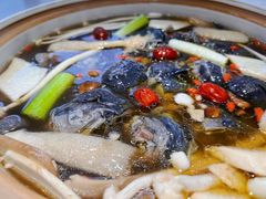 -土连锅·现熬养生汤锅(梁家巷店)