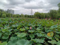 -太阳宫公园