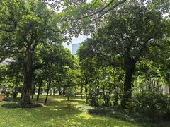 -南宁南湖公园