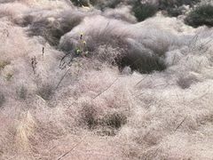 -华山御温泉度假村