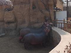 -沈阳森林动物园