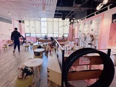 -喵匠猫主题咖啡(凯德和平广场店)
