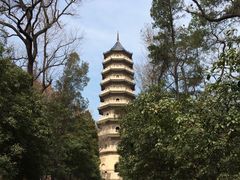 -紫金山山顶公园