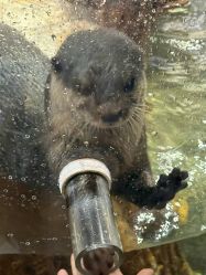 -Zoolung Zoolung动物主题公园(海信广场店)