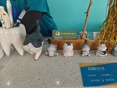 -美迦爱-牙专科·兔科·骨科诊疗中心(北苑店)