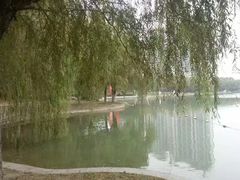 -天鹅湖体育公园