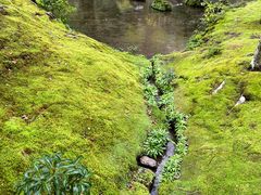 -西芳寺(苔寺)