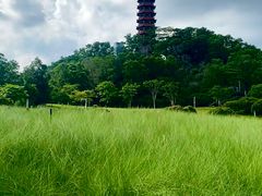 -红花山公园
