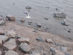 -深圳湾公园(南山区)