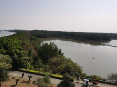 -大湾区中央湿地公园