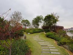 -上海长兴岛郊野公园