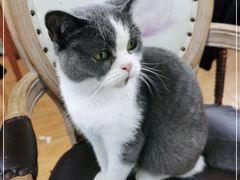 -猫小院猫主题餐厅(南锣旗舰店)