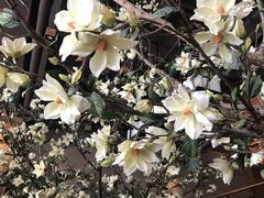 -山有花啡餐厅(常营总店)
