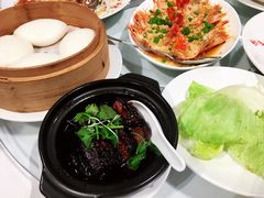-詠春园