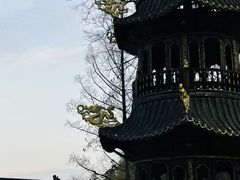 -冶父山国家森林公园