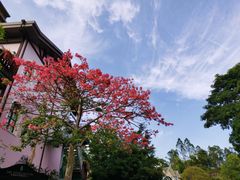 -东部华侨城