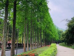 -青城山
