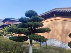 -习家池