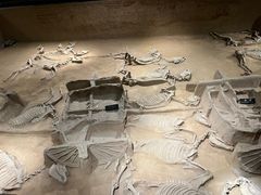 -洛阳周王城天子驾六博物馆