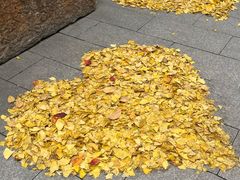 -龙华素斋(龙华路店)