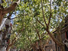 -常熟路(地铁站)