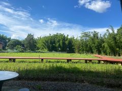 -苏家围·东江画廊旅游景区