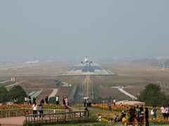 -空港花田景区