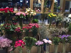 -谷莠子花艺·气球派对·绿植造景·花艺沙龙(金光华广场店)