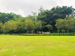-广州珠江公园