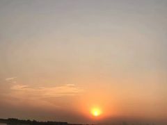 -合肥滨湖国家森林公园