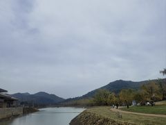 -千年银杏谷文化旅游区