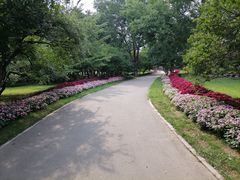 -石家庄市植物园
