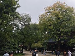 -灵谷景区
